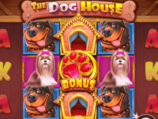 The Dog House