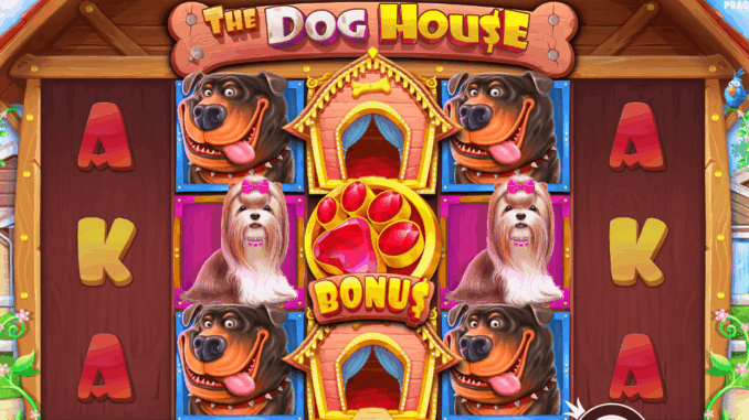 The Dog House The Dog House